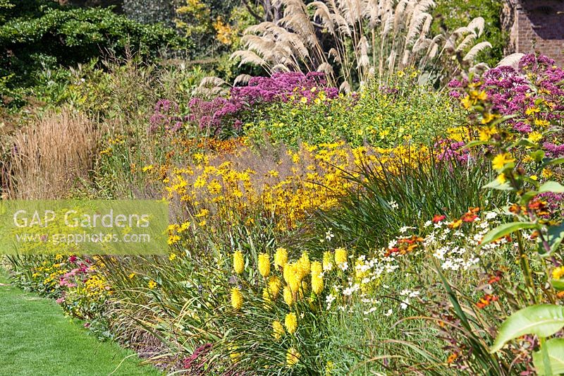 Perennial garden in yellow color tones