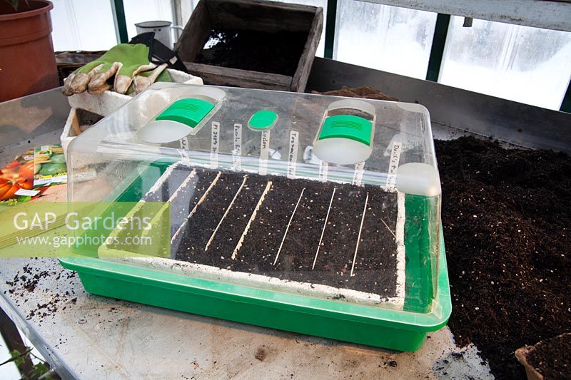 Seedling production - in door green house step 5