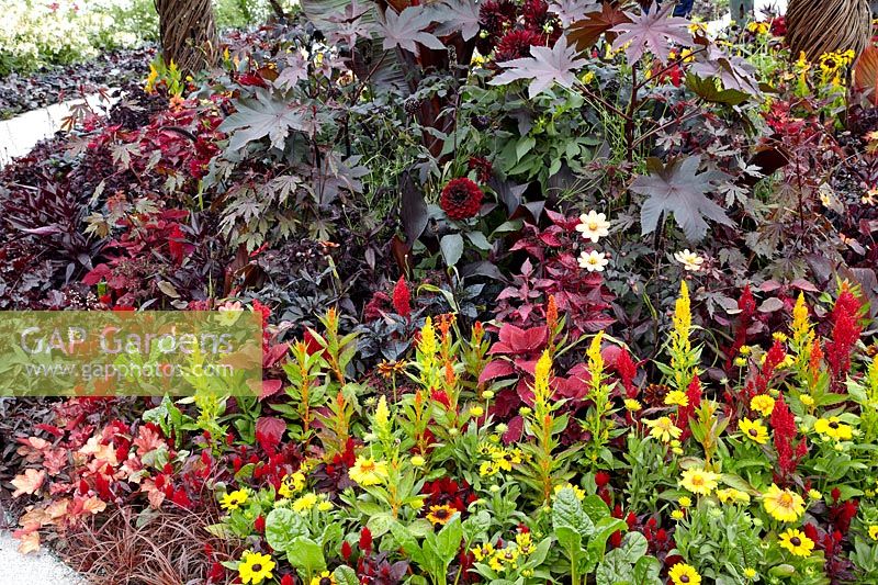 Garden design with annuals