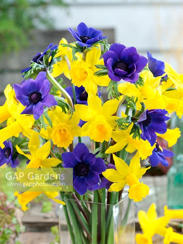 Flower bouquet with Narcissus and Anemone