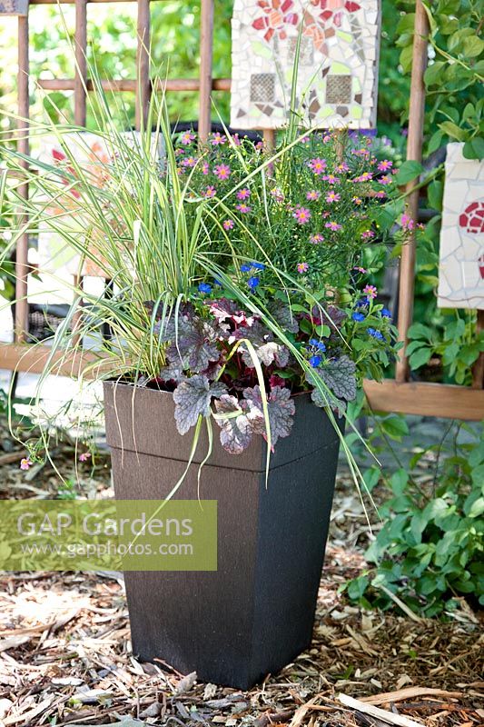 Plant container with perennial and ornamental grasses