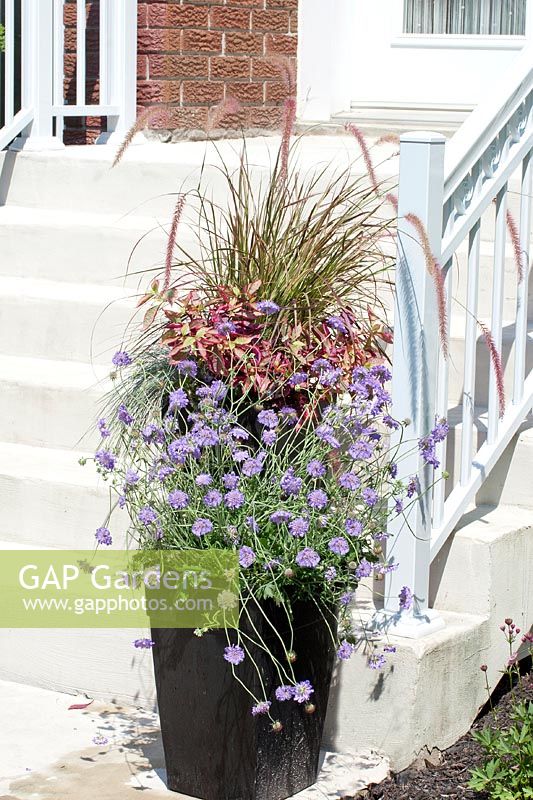 Plant container with perennials and ornamental grasses