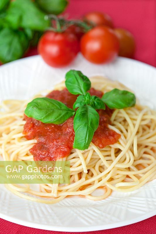 Spaghetti with tomatosauce and basil