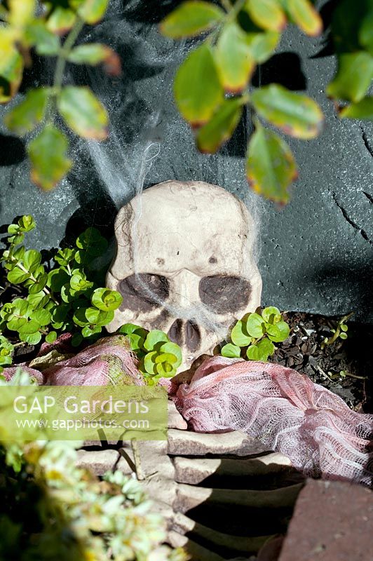 Halloween decoration with death's head and bones