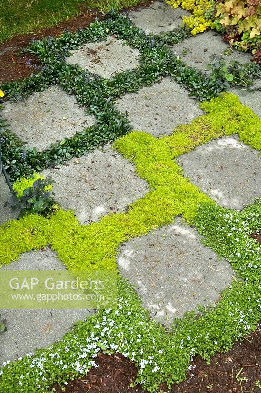 Groundcovers used as natural gap filler 