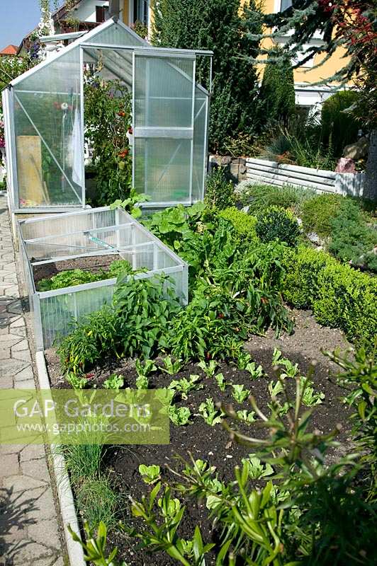 Vegetable garden and greenhouse