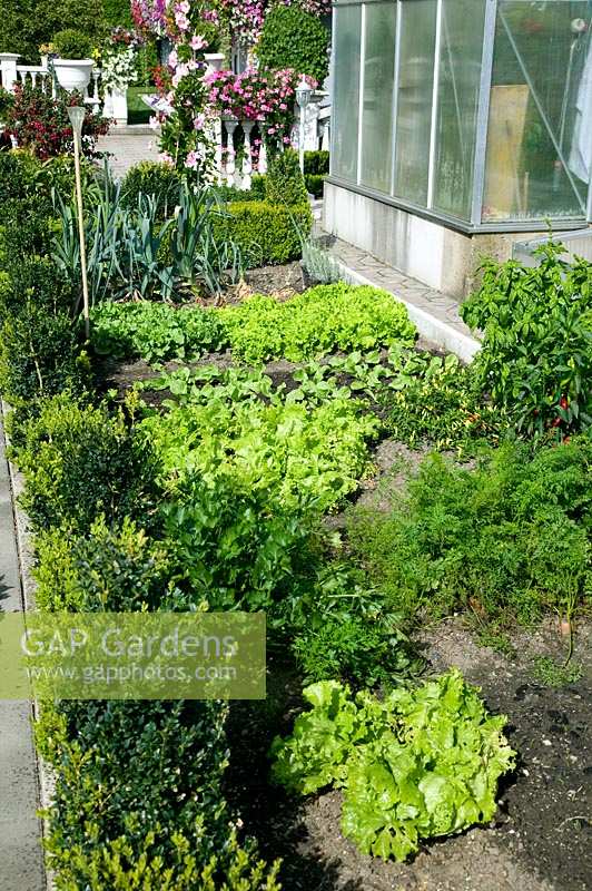 Vegetable garden and greenhouse