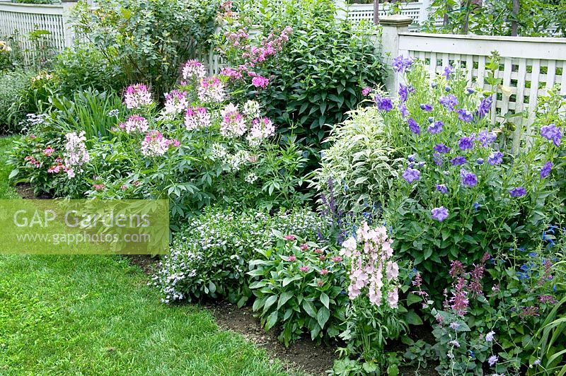 Perennial border with different flowering perennials
