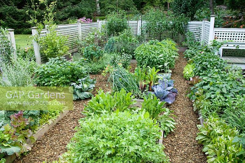 Vegetable and herb garden