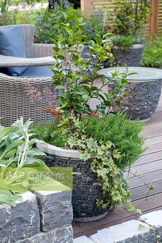 Terrace with plant container with Hedera, Rosmarinus, Heuchera, Gardenia, garden furniture