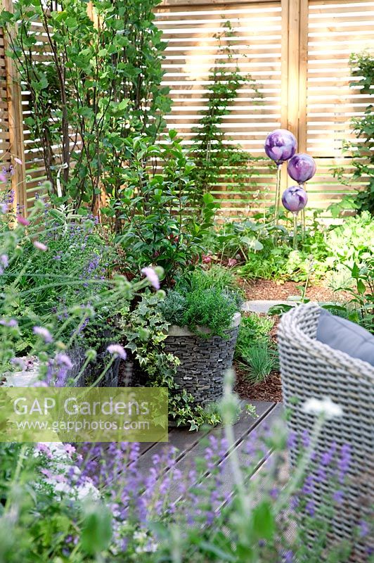 Impression with container planting, garden furniture, rose ball and perennials