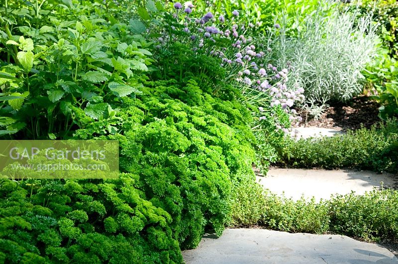 Herb garden with natural stone path