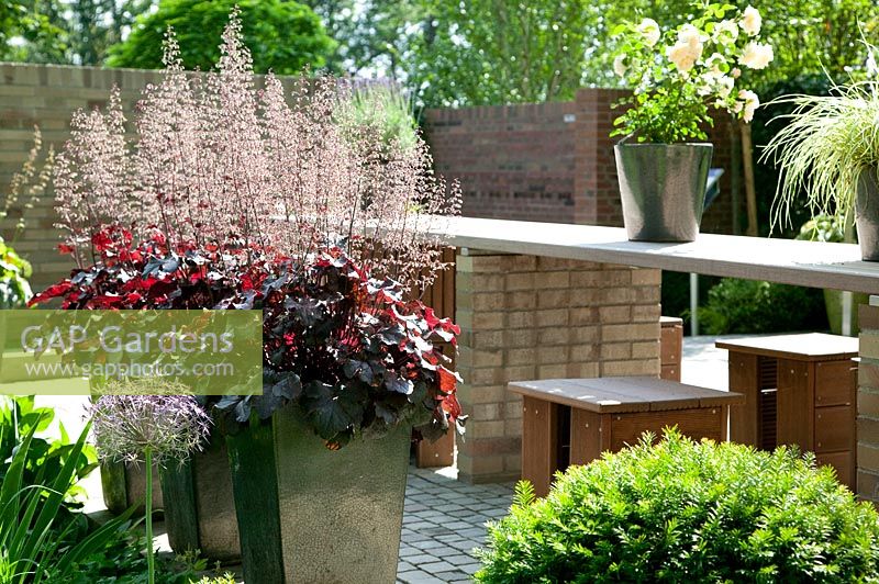 Terrace with Heuchera in plant containers