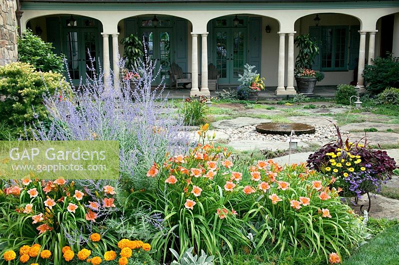 Court yard with Hemerocallis, Perovskia, Tagetes and summerflower container