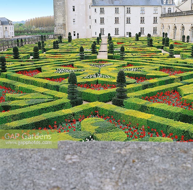 Garten Typen Französischer Schlossgarten / Buxus, Gemüse 