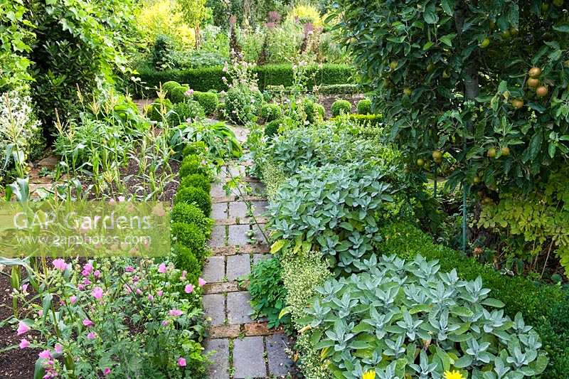 Barnsley House Gardens, Gloucestershire, UK. The potager with brick paved paths