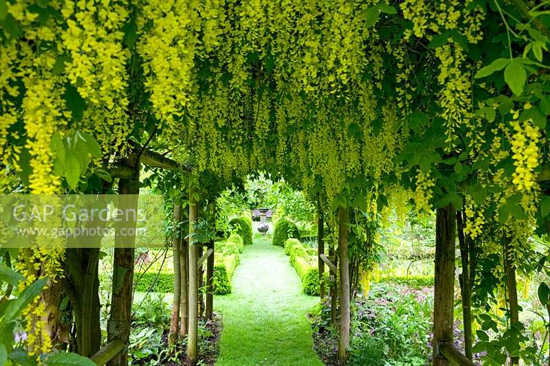 Cerney House Gardens, Gloucestershire, UK. ( Sir Michael and Lady Angus ) view through to sundial with Laburnum tunnel