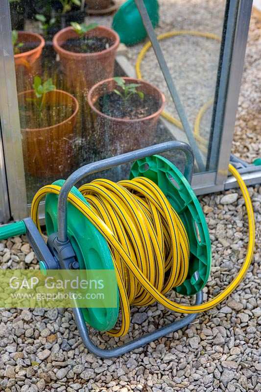 Rolled up hose for watering in greenhouse