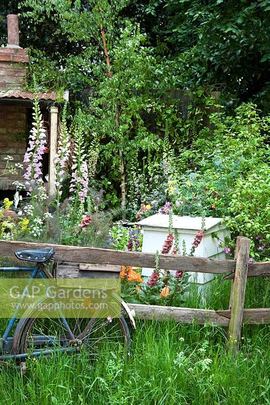 Chelsea Flower Show, 2009. The Fenland Alchemist Garden ( des. Hall and Besser ) Bicycle leaning on rustic fence in informal cottage garden