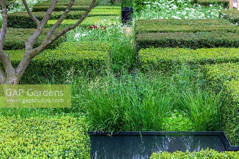 Chelsea Flower Show, 2013. The Daily telegraph Garden ( Christopher Bradley-Hole ), formal hedging