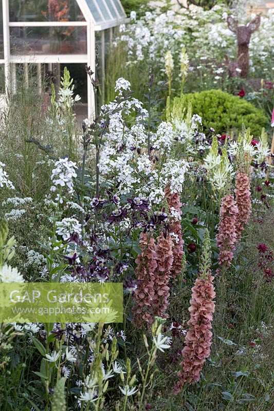RHS Chelsea Flower Show 2014.  Hartley Botanic Garden. 