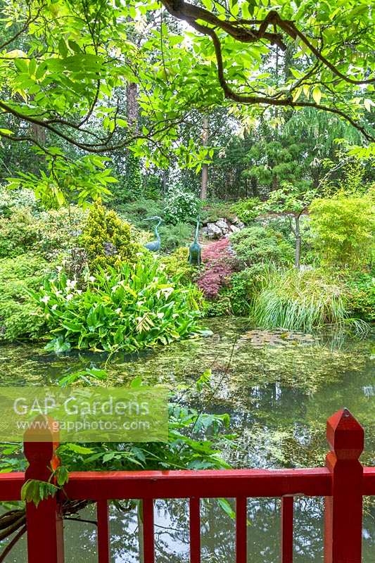 Compton Acres, Dorset, UK. The Japanese themed garden
