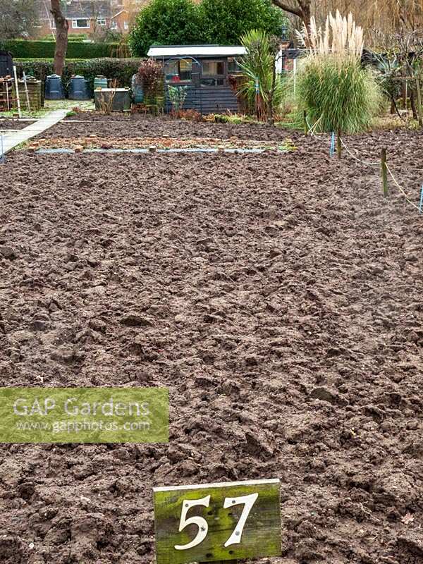 Large allotment, dug over in winter