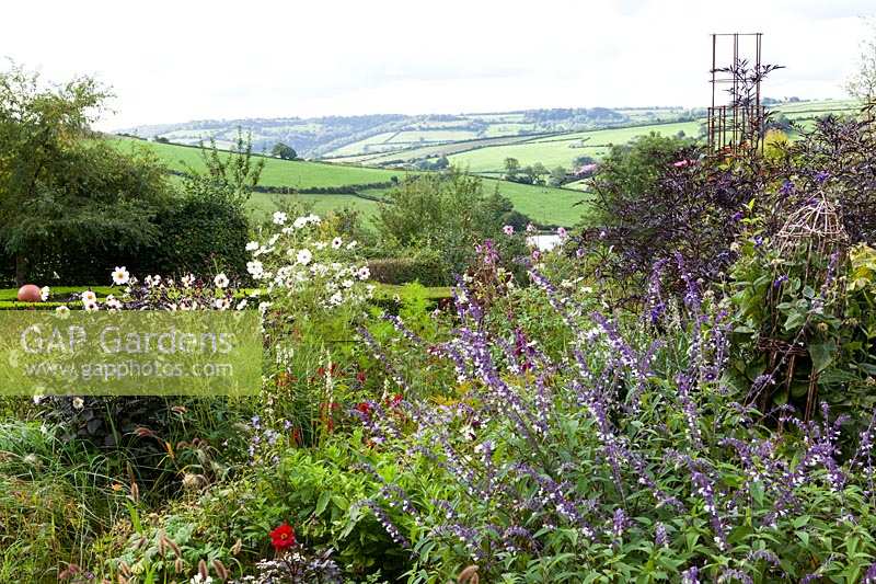 Derry Watkins Garden at Special Plants, Bath, UK. Late summer borders with view across countryside