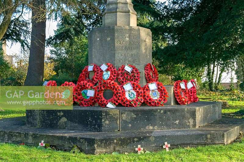 Poppy wreathes around war memorial, Clifton, Bristol, UK.