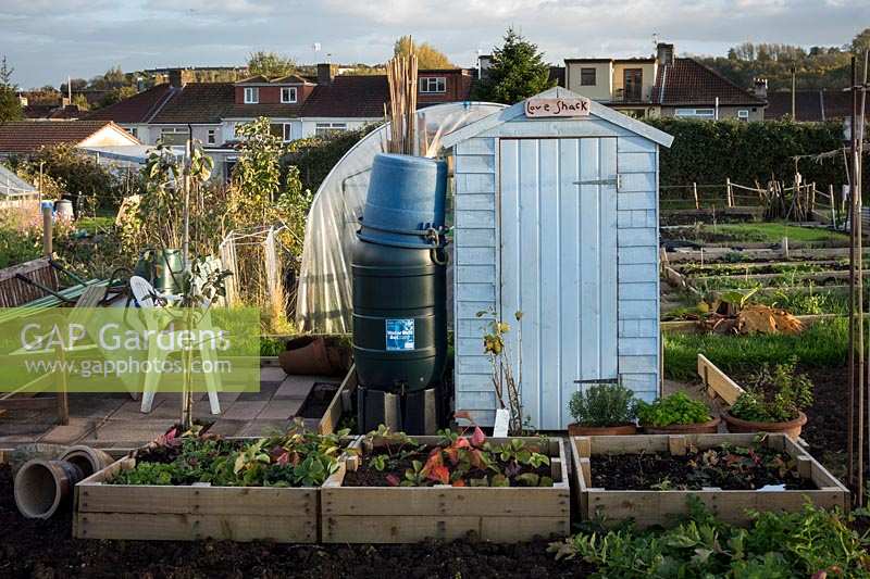 blue painted allotment shed with sign saying 'Love Shack'