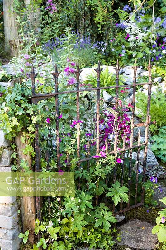 Hampton Court Flower Show 2014, the Forgotten Folly Garden, des. Horticolous Design. Natural overgrown garden, wildlife friendly and filled with native flowers