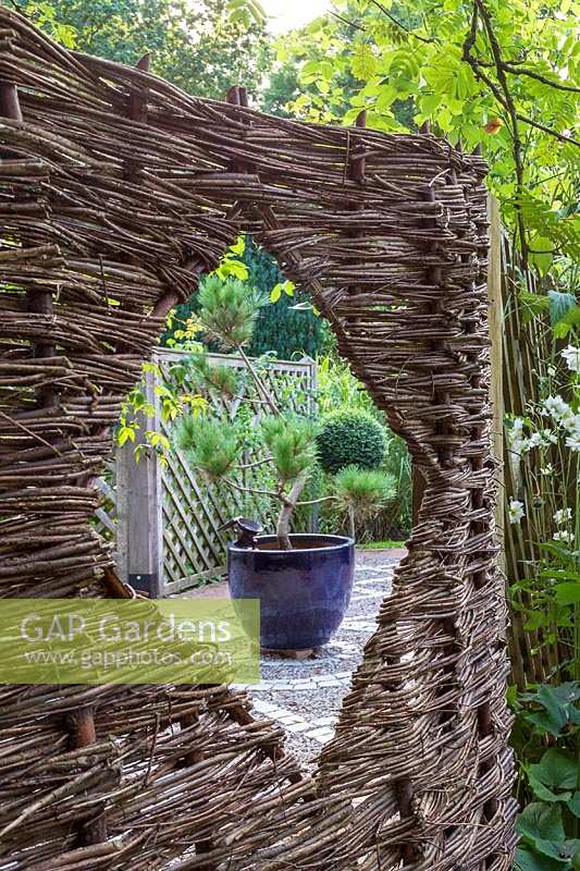 Jackie Healy's garden near Chepstow. Early autumn garden. 'Peephole' in woven fence with view of potted conifer