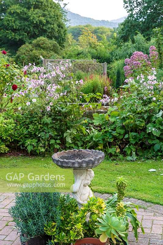 Jackie Healy's garden near Chepstow. Early autumn garden. Bird bath and potted plants