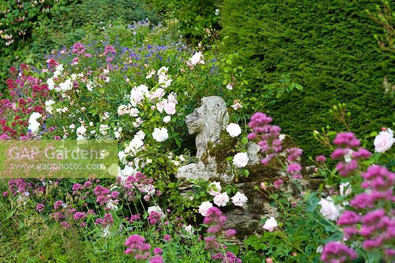 Hodge's Barn, Gloucestershire, UK ( Hornby )  stone 'lion' surrounded with roses and Valerian