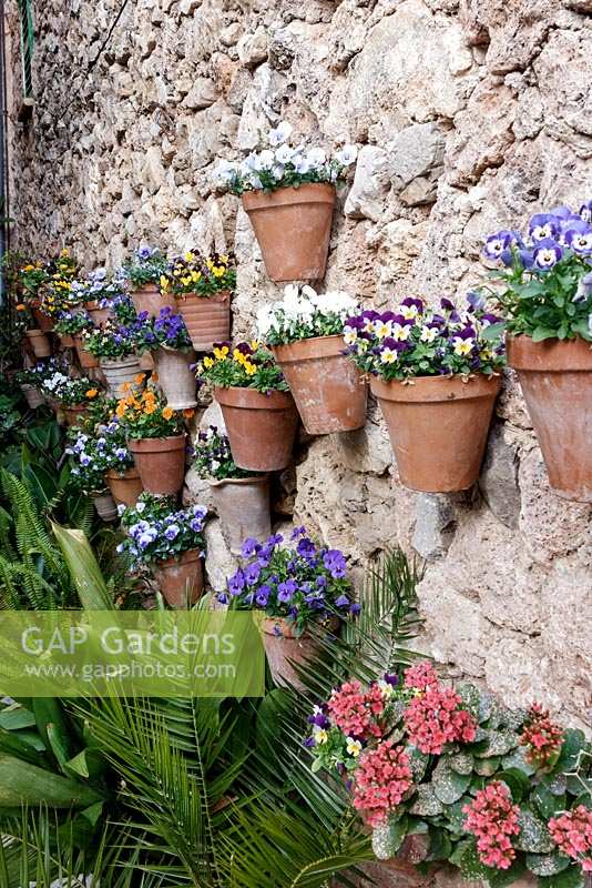 wall mounted pots of colourful annuals n Valdemossa, Mallorca, Spain.