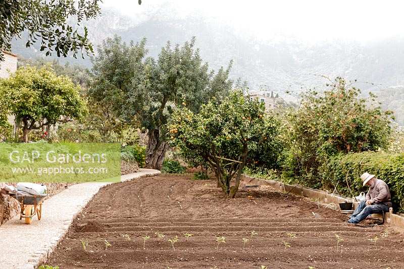 The garden at Robert Graves' house in Deia, Mallorca, Spain