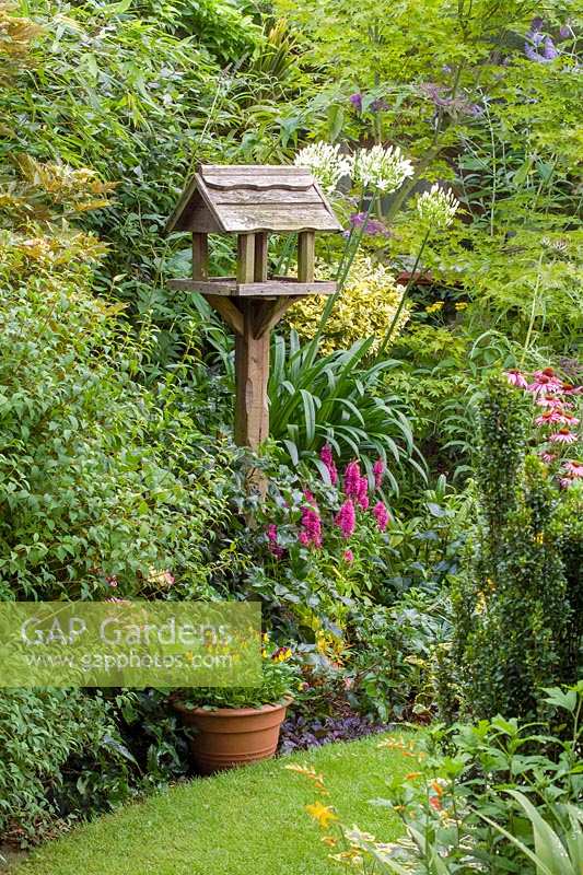 62 Hillcrest Rd, Nailsea, Somerset, UK. ( Andy Luft ) small town garden with good structure, interesting trees and shrubs. Bird table