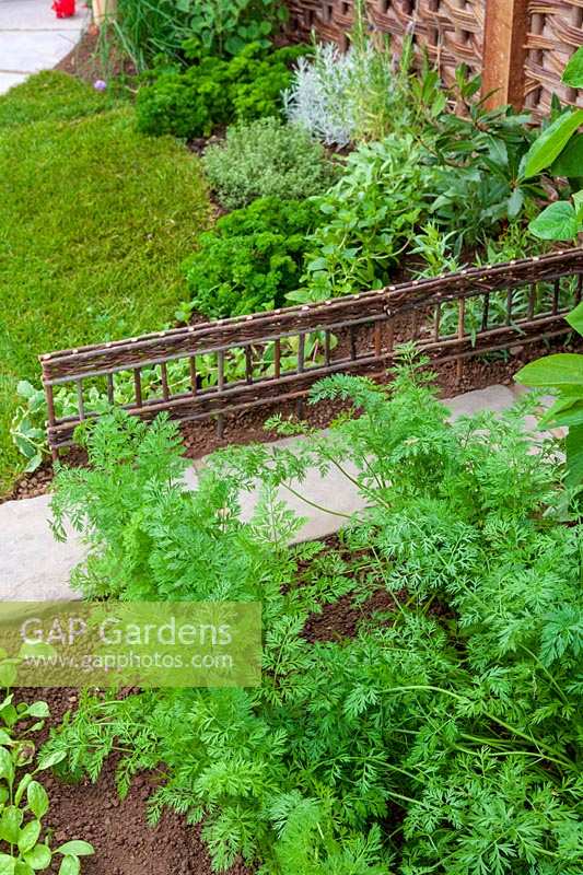 National Amateur Gardening Show 2007, UK. 'A Garden For the Elderly' ( Greenslades )