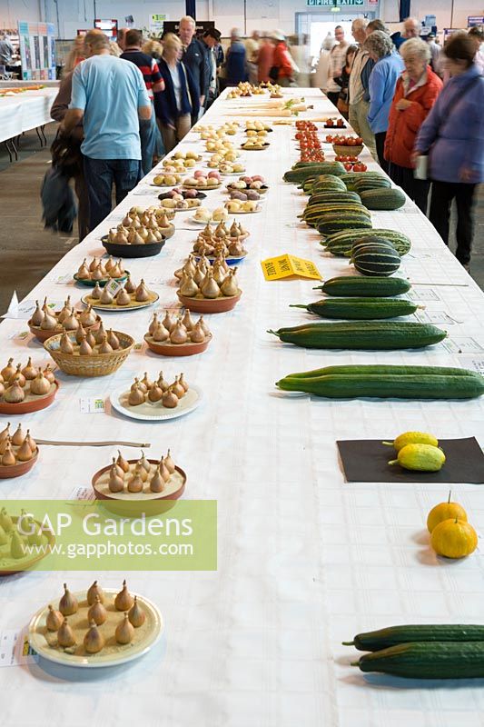 National Amateur Gardening Show 2007, UK. Vegetable growing competition, prize winning