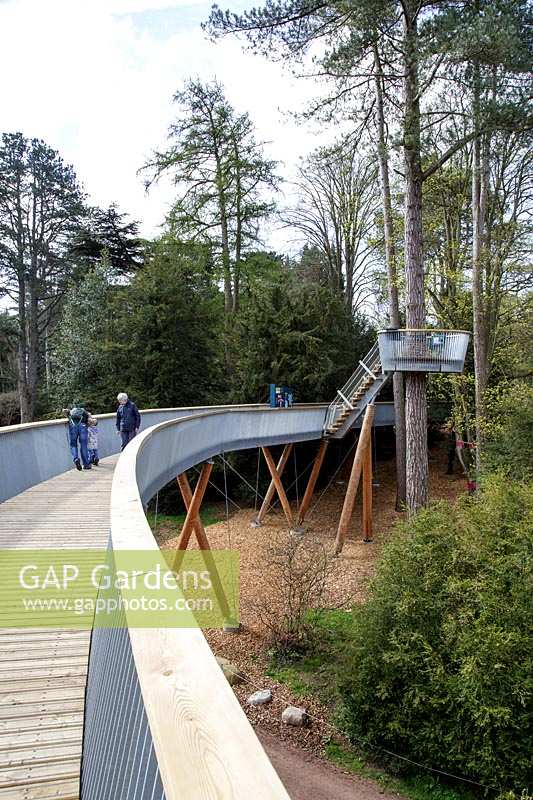 The tree top walkway at Westonbirt Arboretum, Gloucestershire, UK