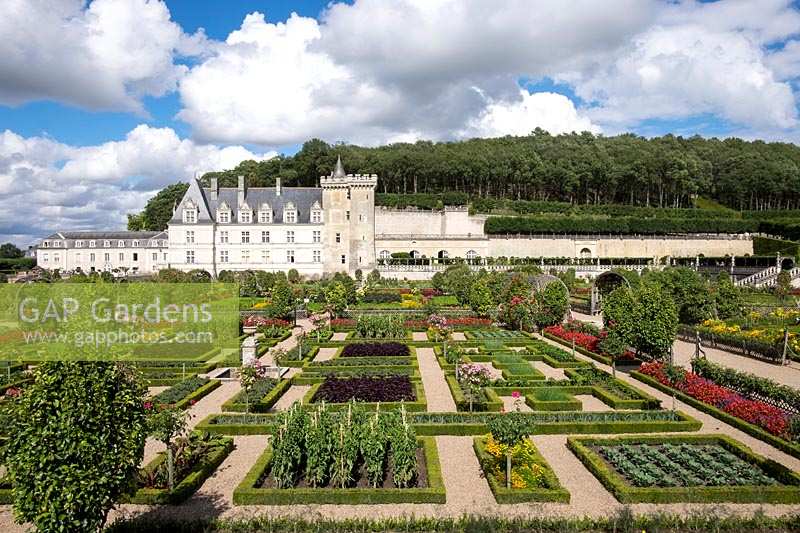 Chateau Villandry, Loire Valley, France, the famous vegetable knot garden and parterre