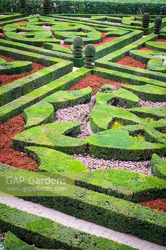 Chateau Villandry, Loire Valley, France, the famous knot garden and parterre with yew hedging and topiary