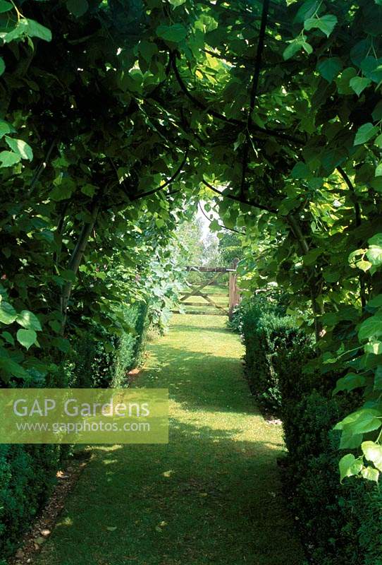 Alan Titchmarsh's garden Hampshire Lime allee pergola with grass path underneath leading to garden gate