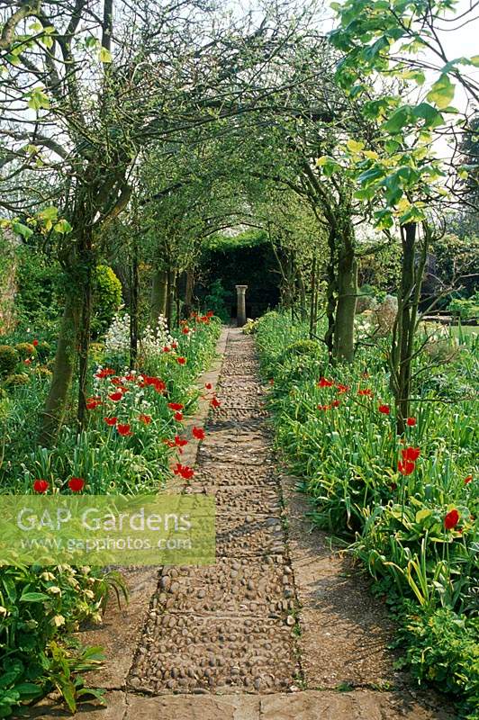 Barnsley House. Gloucesteshire. The laburnum tunnel in Spring with red tulips either side of stone and cobble  path. View throug