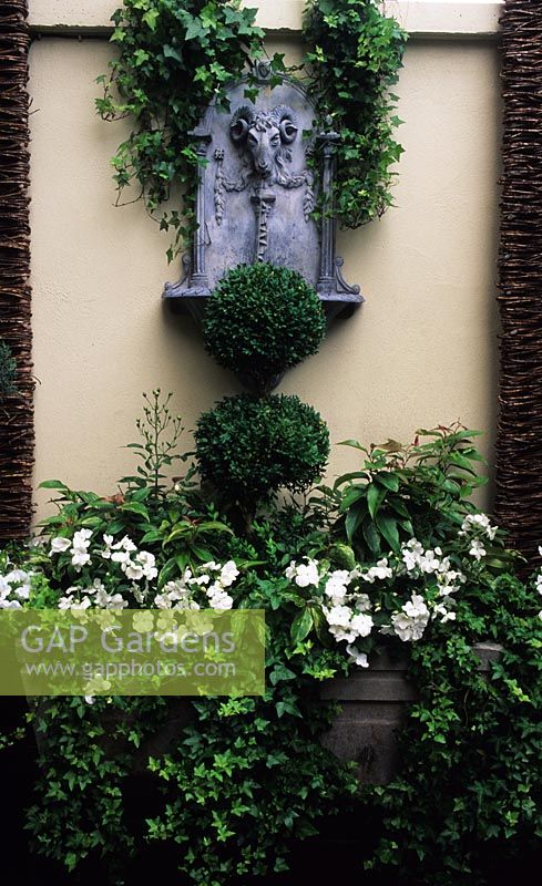 Wall mounted ram s head water feature Design Steve Woodham Boxwood topiary Busy Lizzies and ivy in trough