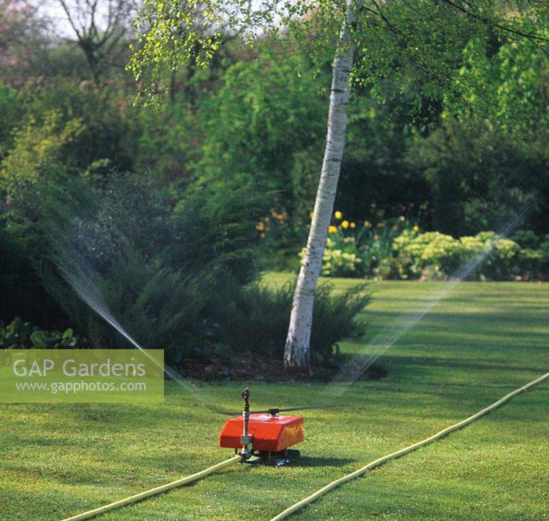 Munstead Wood Surrey automatic lawn water sprinkler