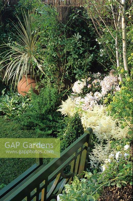 small garden corner with bench Design John Plummer white garden with Astilbe multi stemmed birch and Cordyline