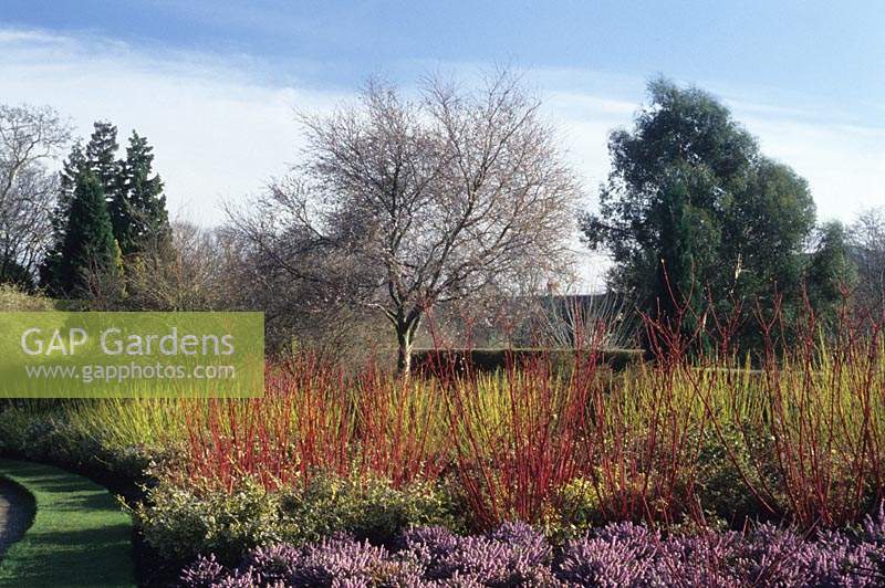 Cambridge Botanic Garden the winter garden