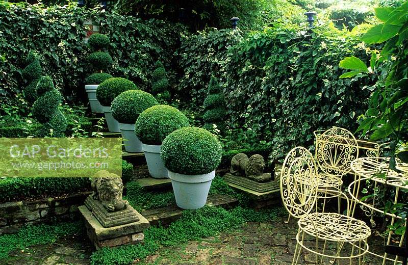 Private garden London Design Jonathan Baillie Shady walled garden Boxwood topiary spheres in blue painted containers Buxus sempe