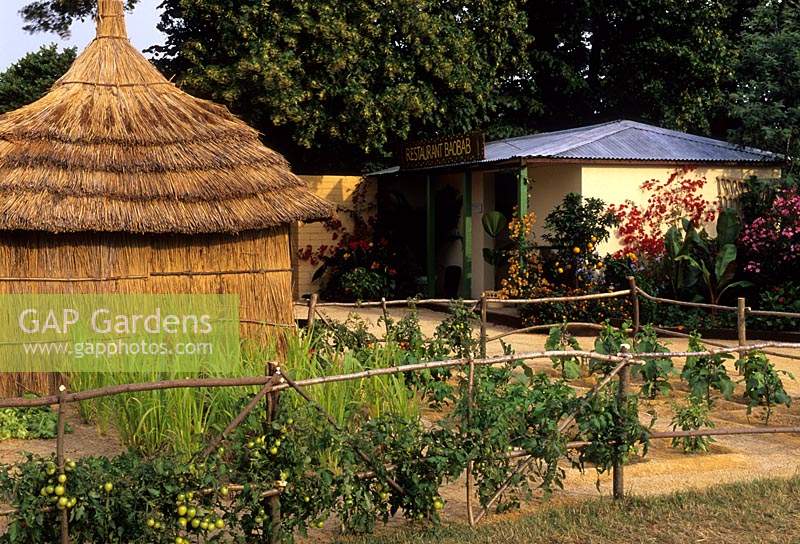 Hampton Court FS 2004 Christian Aid African garden
